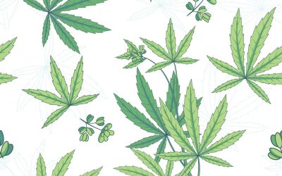 The History of Cannabis