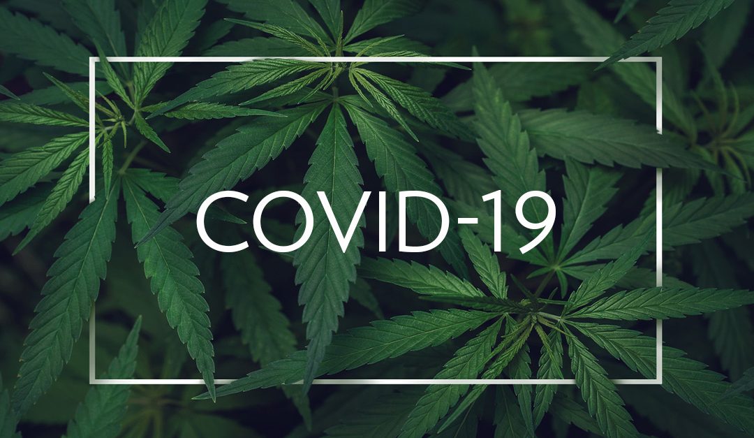 (Webinar 1st Dec 2021) Managing post COVID long term symptoms with cannabinoid therapy