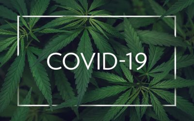 (Webinar 1st Dec 2021) Managing post COVID long term symptoms with cannabinoid therapy