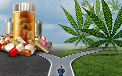 Israeli study shows cannabis patients use fewer opioids