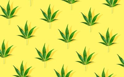 Men’s Health: A Cannabis Scientists On How Best To Use THC And CBD For Treating Stress And Anxiety