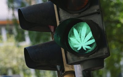 Medicinal Cannabis & Drug Driving Law Questions Answered