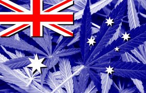 medical cannabis legalised in Australia for medicinal uses